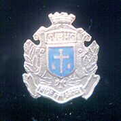 The school badge lapel pin